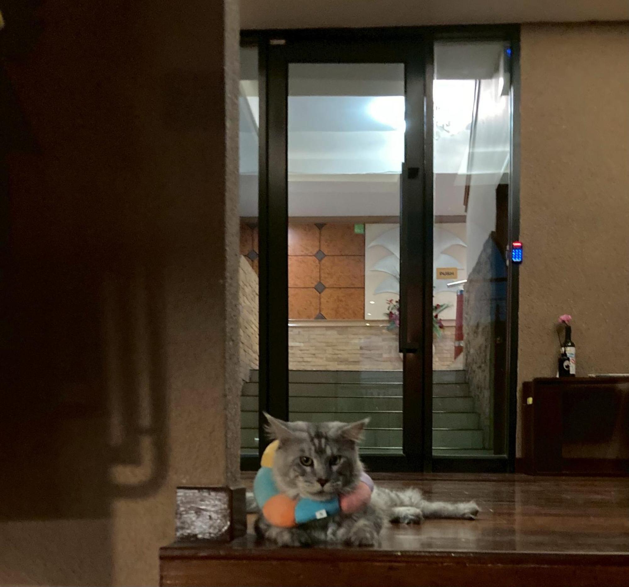 Polkadot Hostel Phitszanulok Kültér fotó